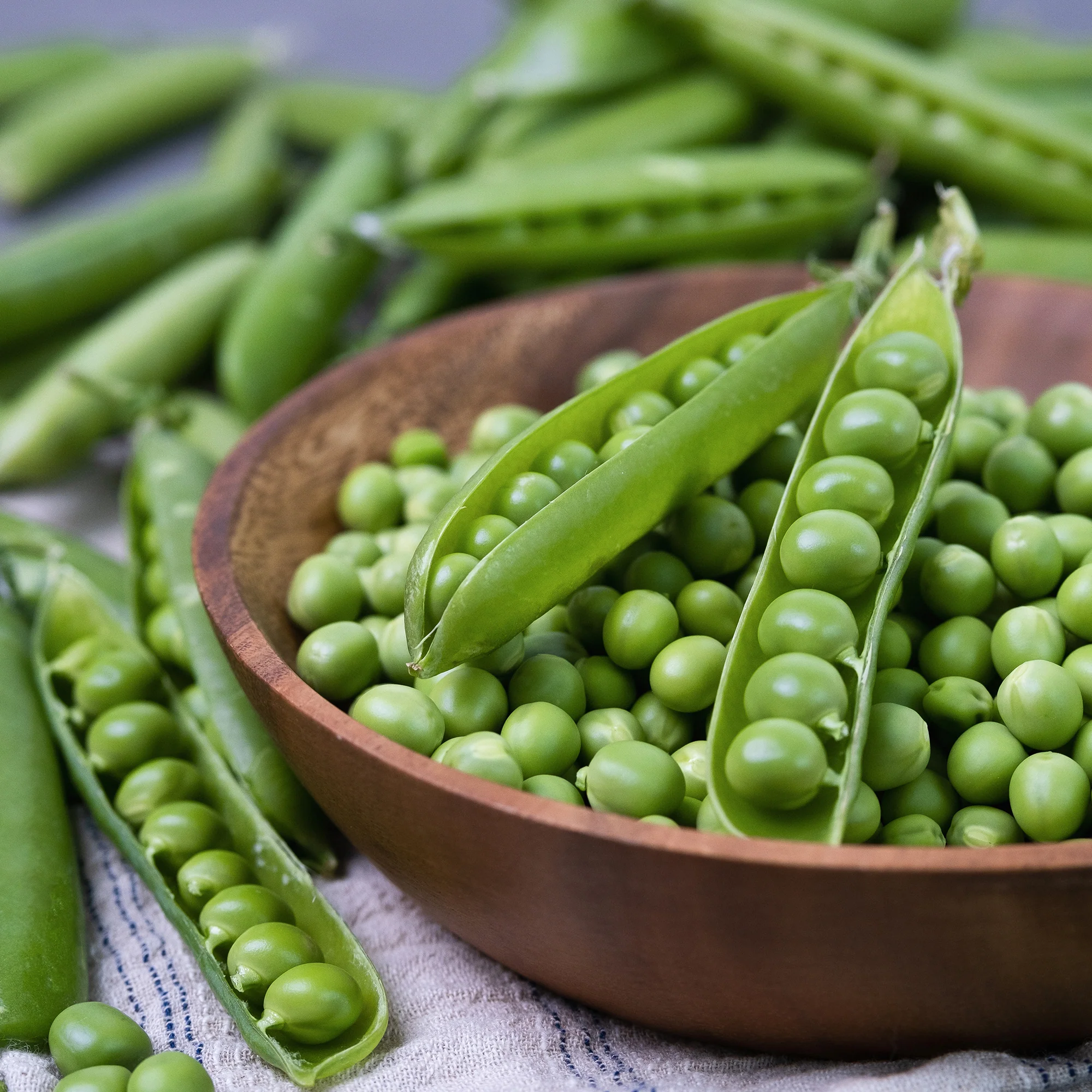 Graines de Fruits et Légumes